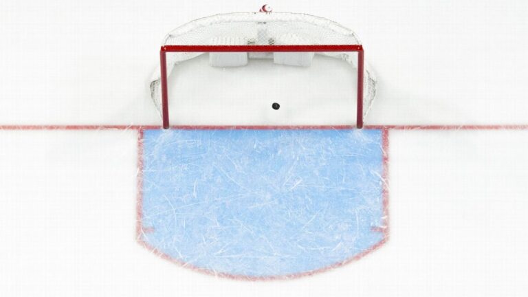 Fans to Vote on Name for NHL Team in Utah