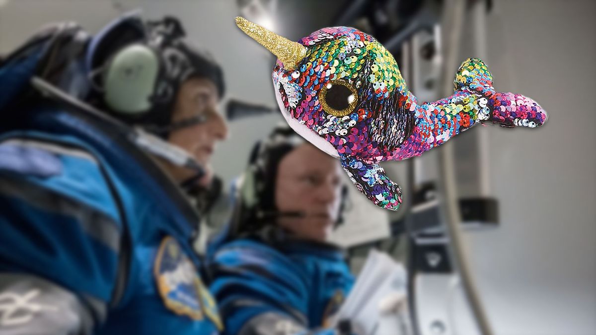 Meet “Calypso,” the narwhal zero-g indicator on Boeing’s Starliner