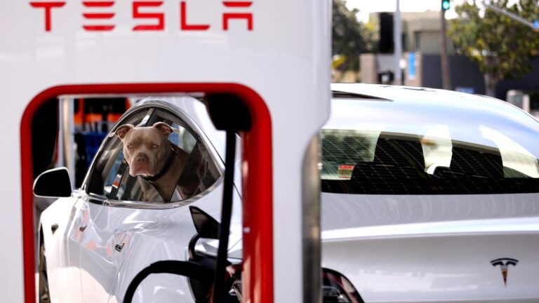 Tesla Charging Adapter Issues and Restrictions