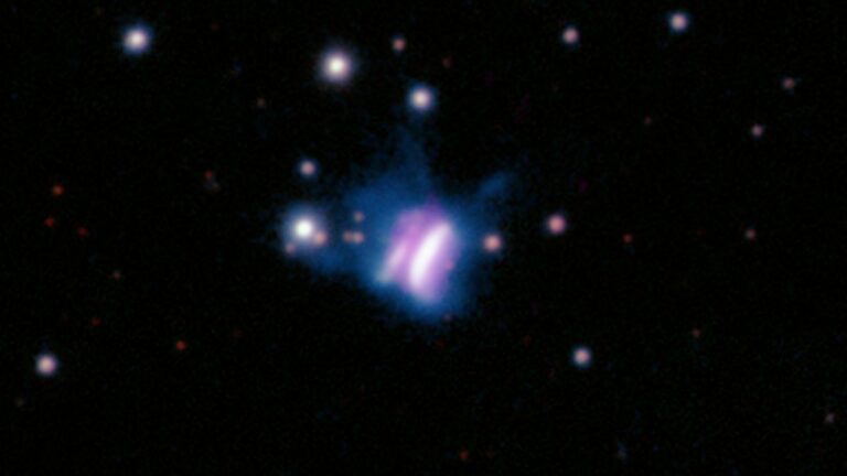 Dracula’s Chivito: Largest Planet-Forming Disk Ever