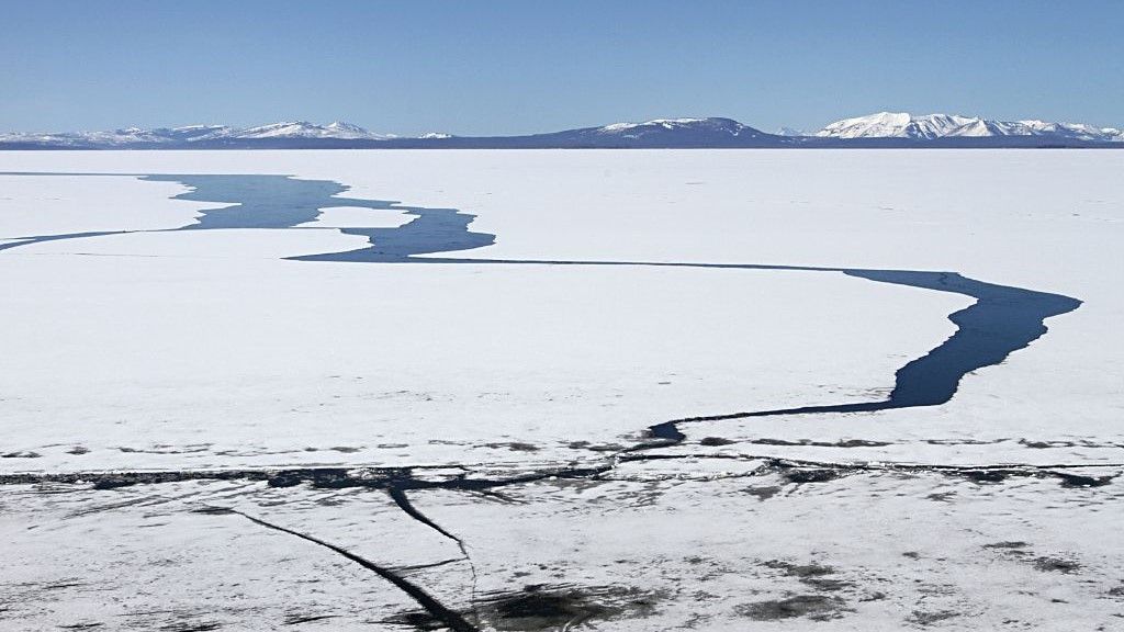 Scientists Warn of Potential “Tipping Point” for Yellowstone Lake