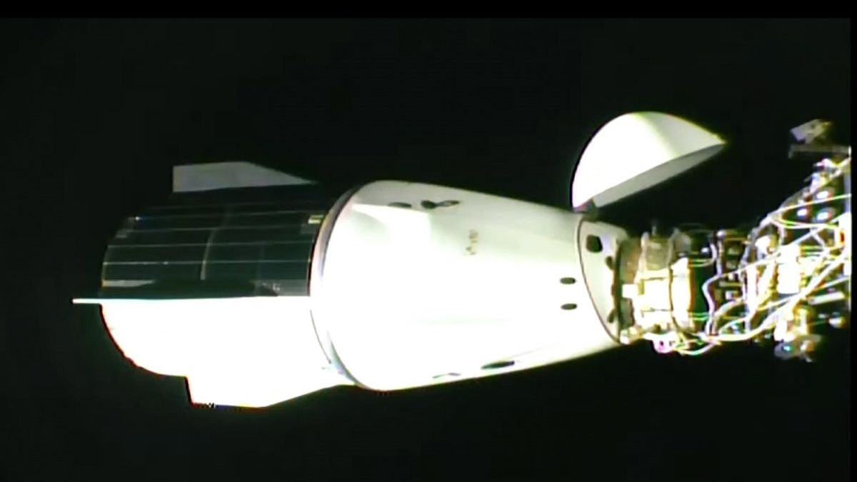 SpaceX Crew-8 Dragon Capsule Port Move Live