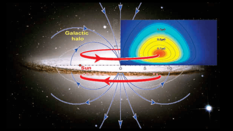 Milky Way’s Outer Halo Filled with Donut-Shaped Magnetic Fields