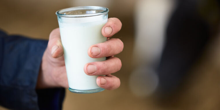 Raw Milk Enthusiasts Defy Warnings Amid Bird Flu Outbreak