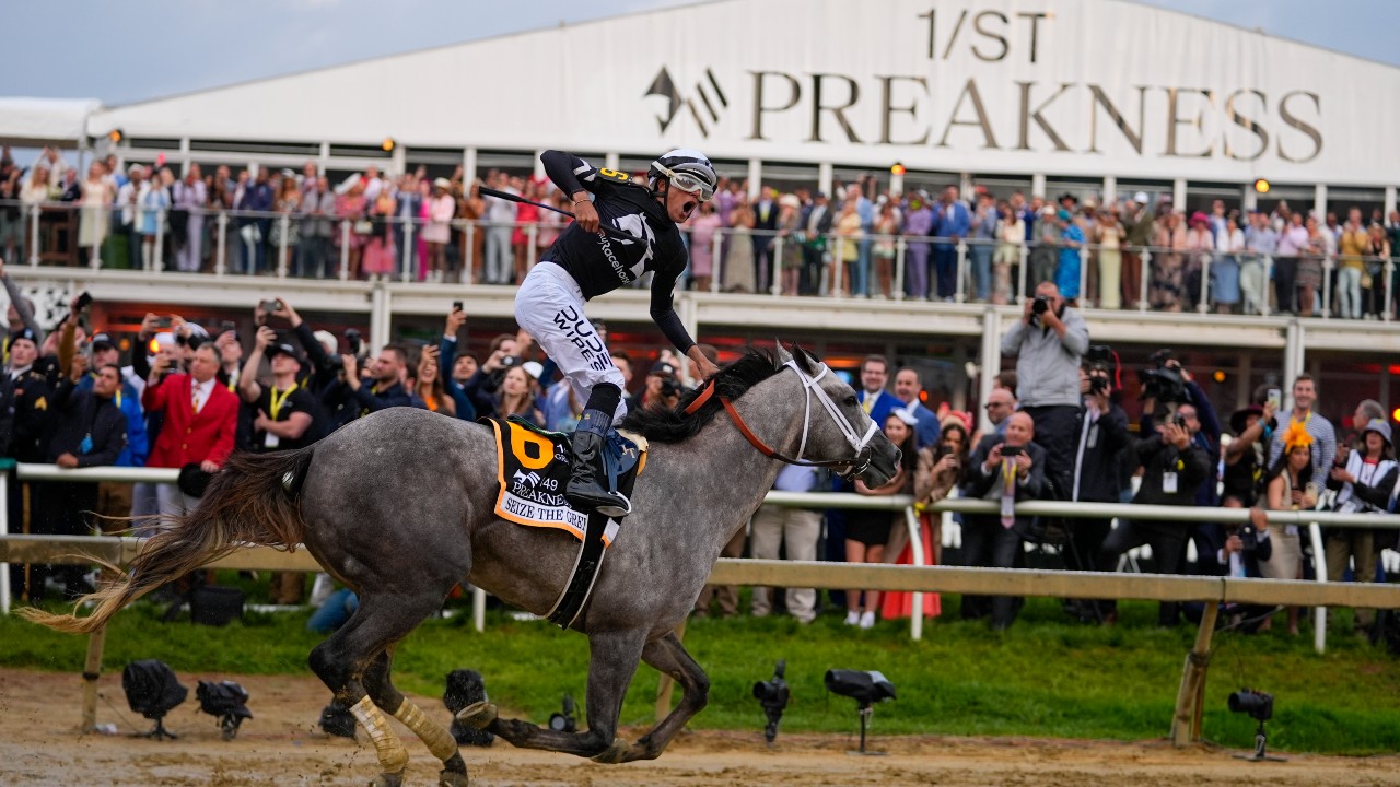 Seize the Grey wins Preakness Stakes, ends Triple Crown bid
