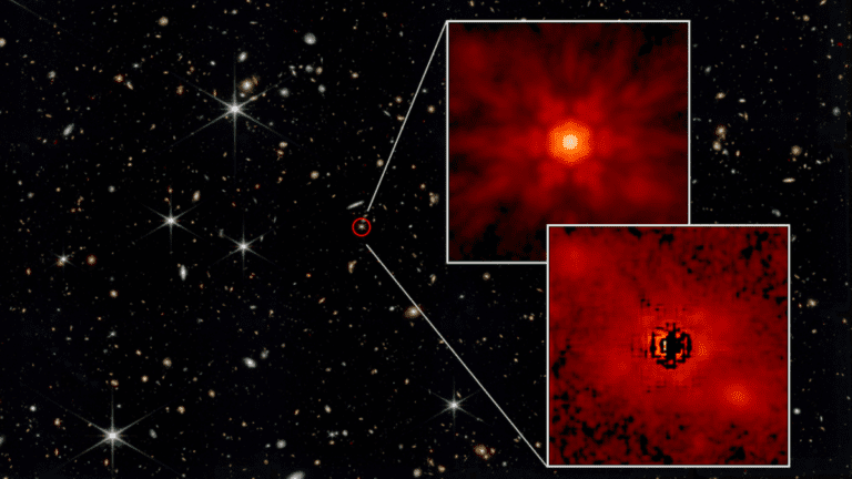 First Glimpse at Stars Around Early Supermassive Black Holes