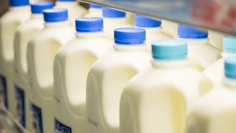 Bird flu not found in pasteurized milk or ground beef
