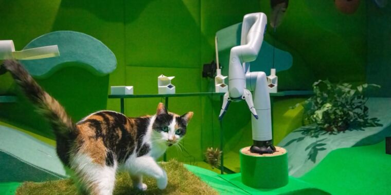 Cat Royale: Cats playing with robots in live exhibit