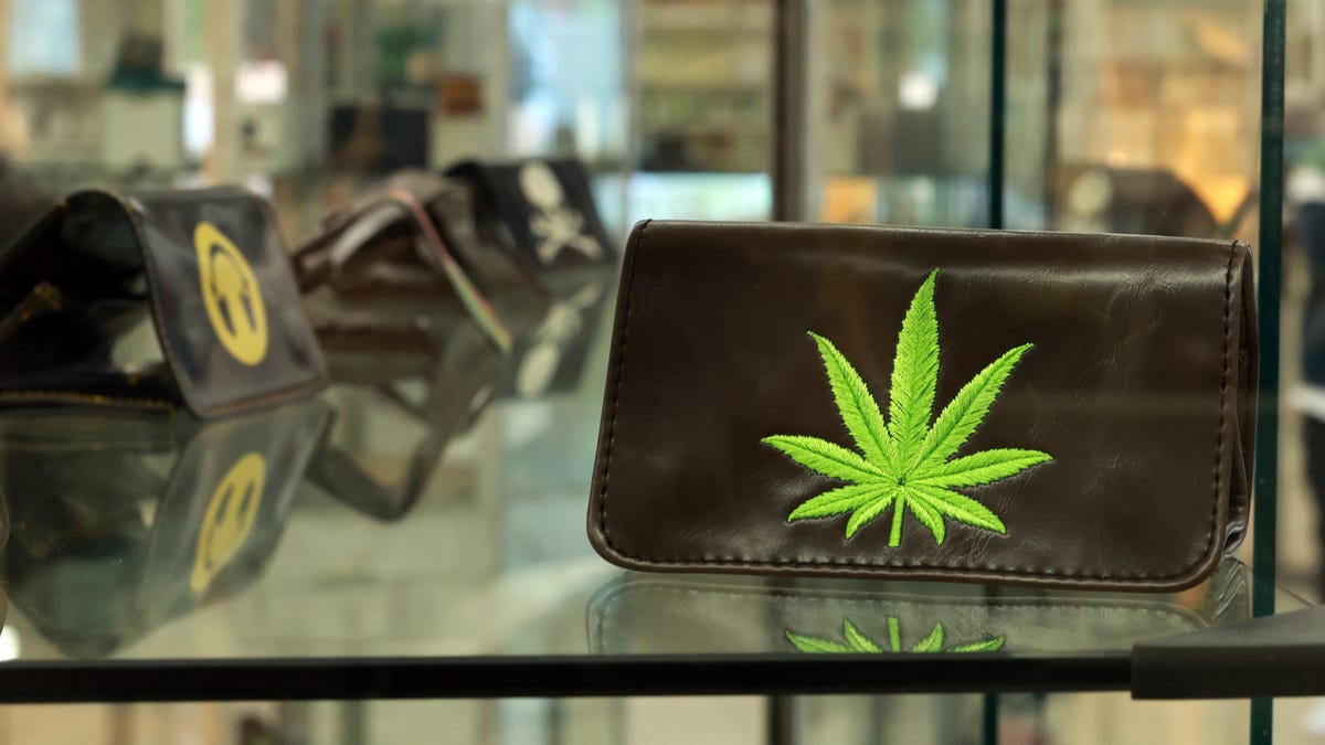 Cannabis Stocks Surge as DEA Considers Reclassification
