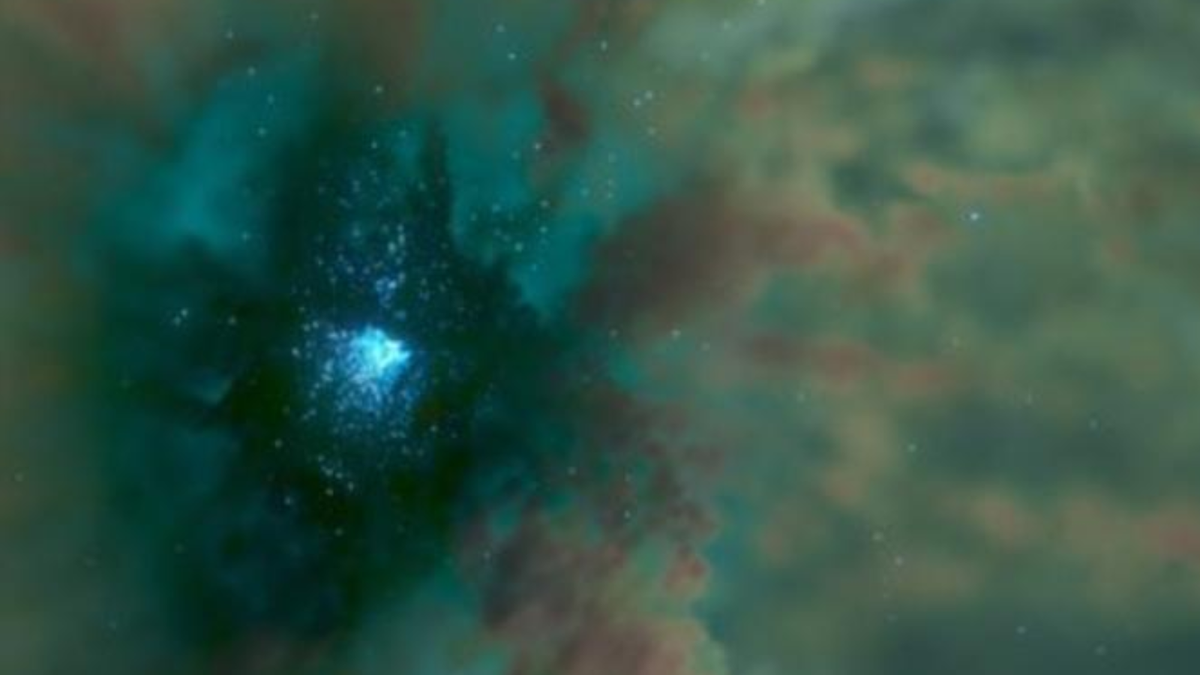 Elusive Intermediate-Mass Black Holes Found in Dense Star Clusters