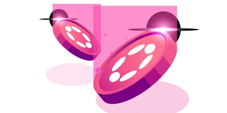 Polkadot Founder Institute Collaboration and Peaq Mastercard Program