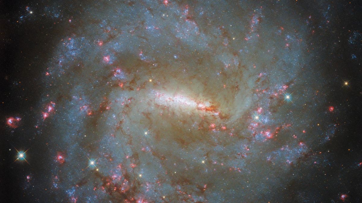 Hubble Captures Stunning Photo of Distant Galaxy